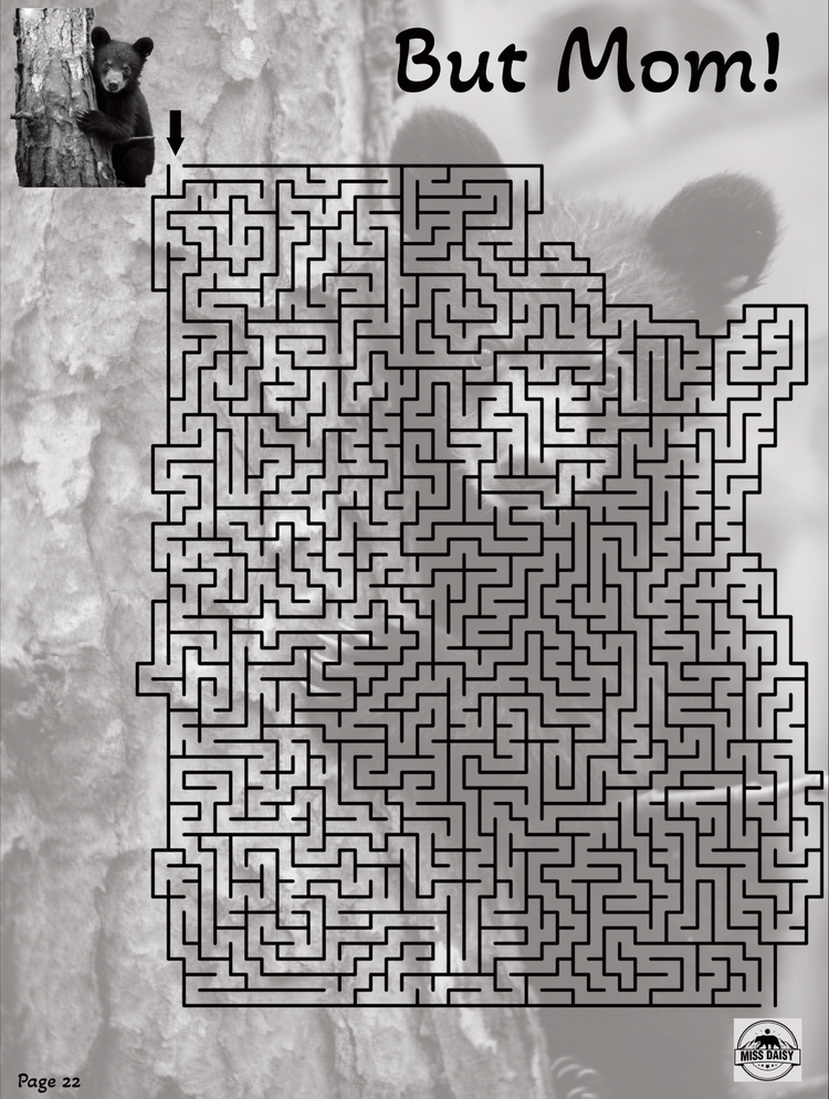 Great Smoky Mountains Miss Daisy's Mazes Activity Book