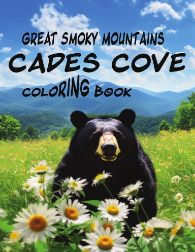 Book Cover Variant Thumbnail