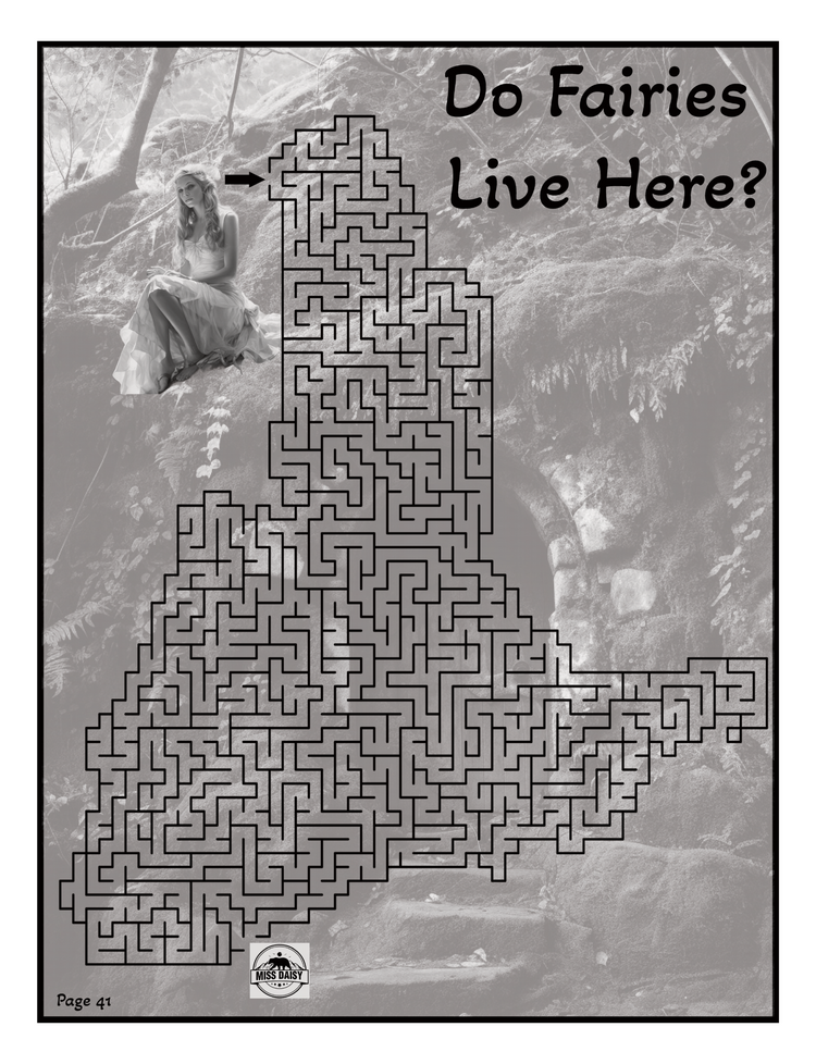 Great Smoky Mountains Miss Daisy's Mazes Activity Book