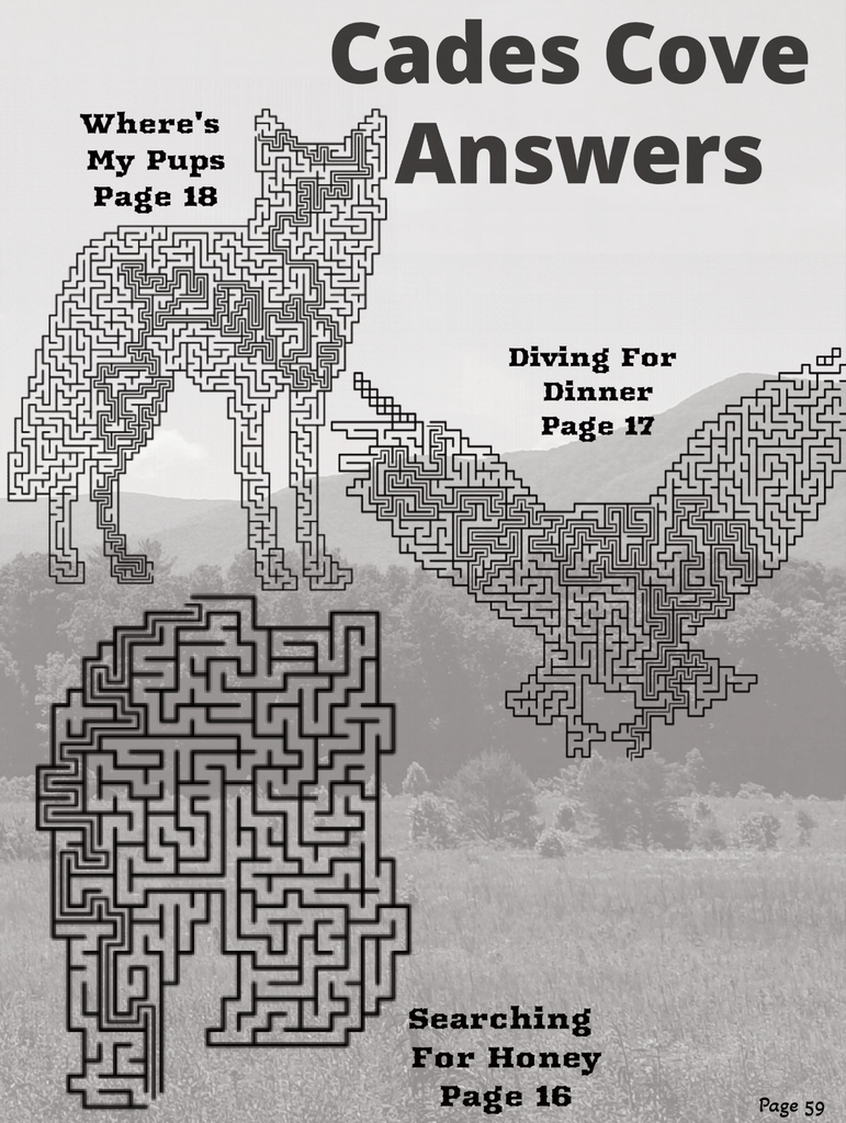 Great Smoky Mountains Miss Daisy's Mazes Activity Book