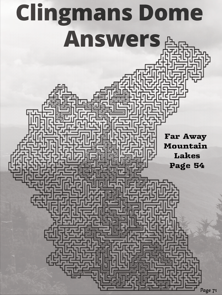 Great Smoky Mountains Miss Daisy's Mazes Activity Book