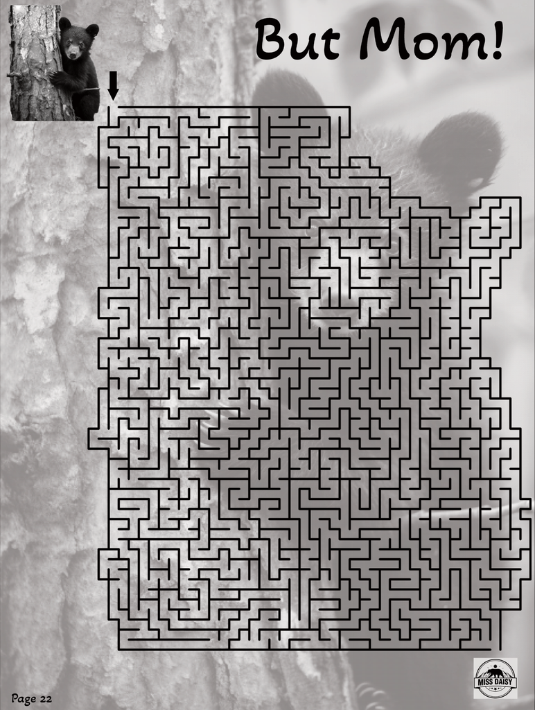 Great Smoky Mountains Miss Daisy's Mazes Activity Book