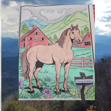 Great Smoky Mountains Cades Cove Coloring Book