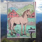 Great Smoky Mountains Cades Cove Coloring Book